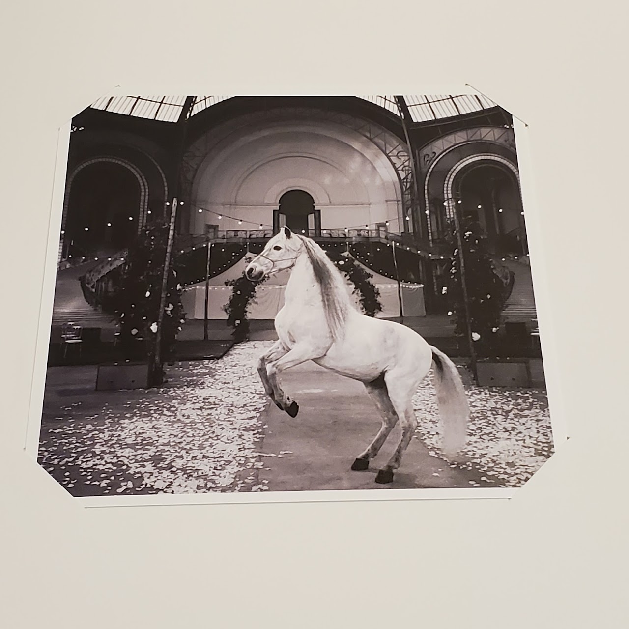 Chanel Runway Photo Album & Invitation