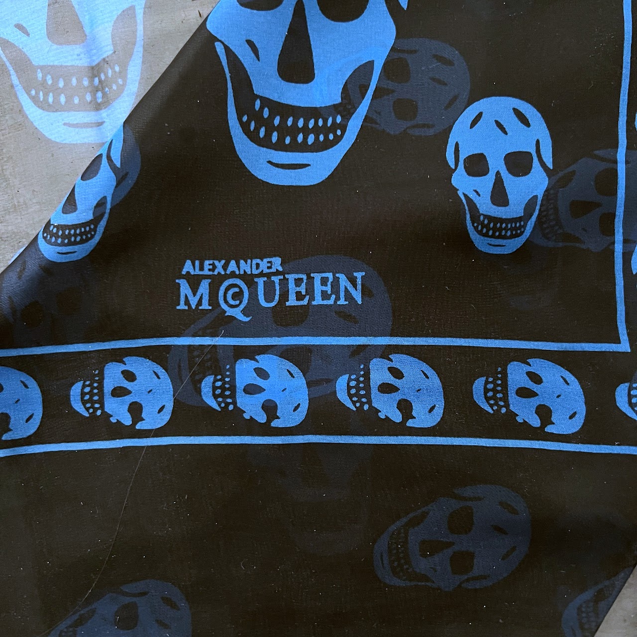 Alexander McQueen Silk Skull Scarf