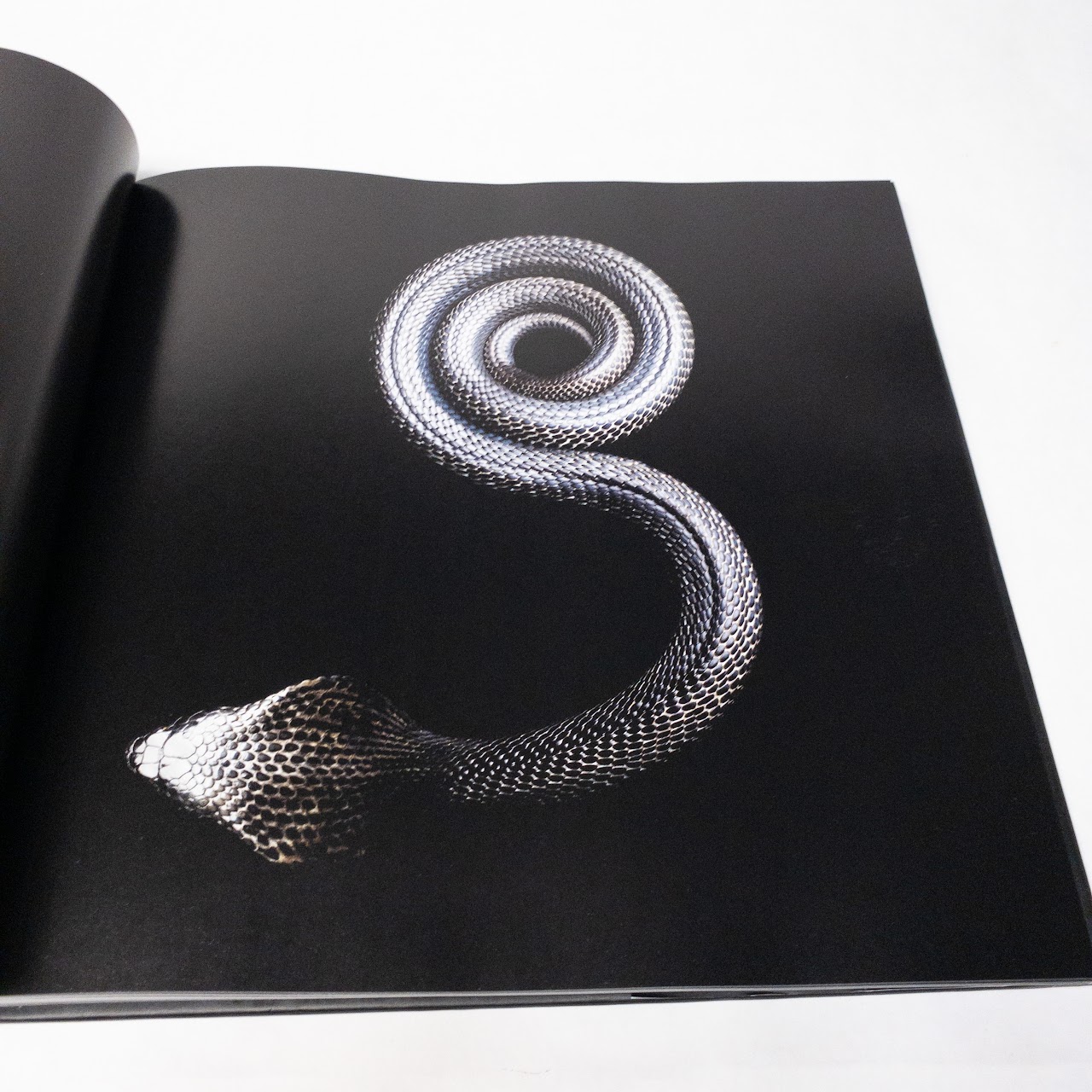 Mark Laita:"Serpentine" Signed Book