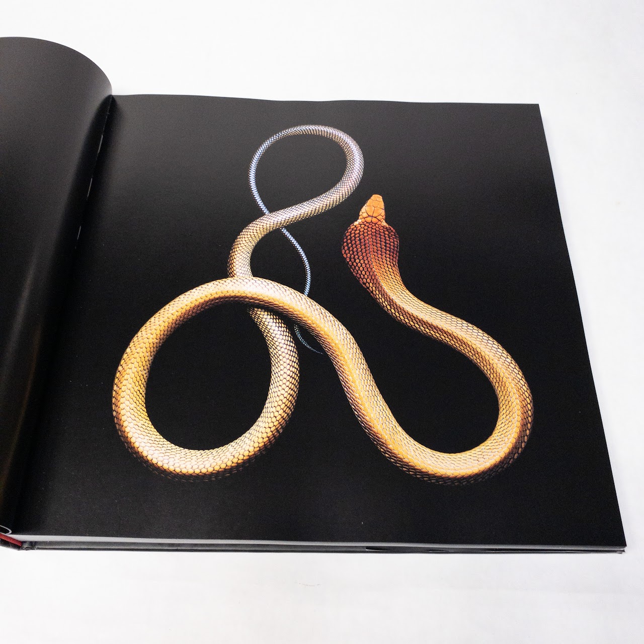 Mark Laita:"Serpentine" Signed Book