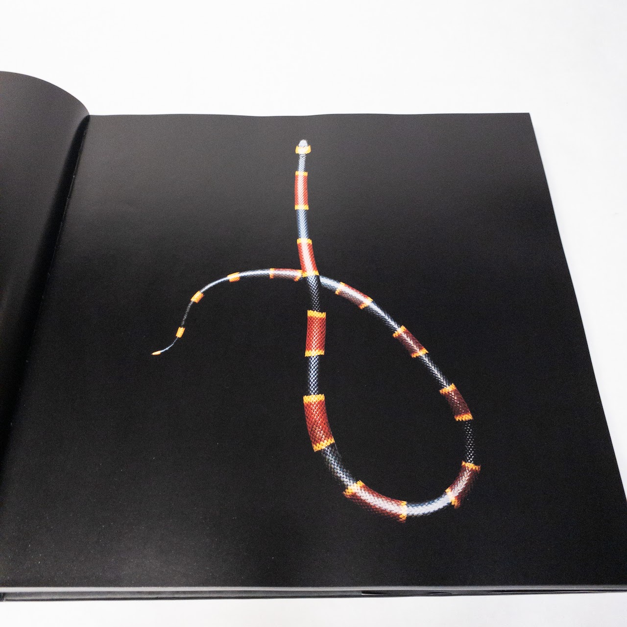 Mark Laita:"Serpentine" Signed Book