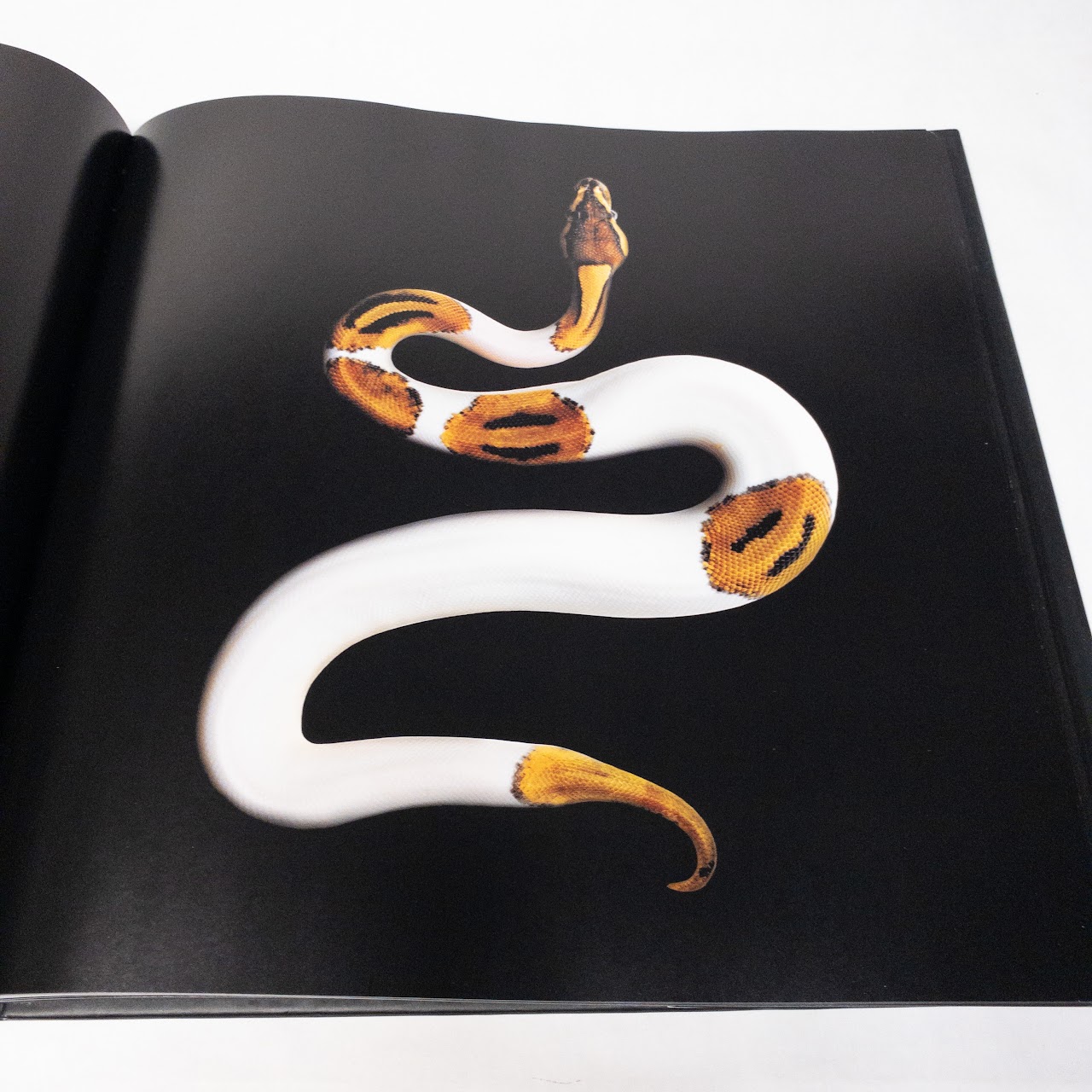 Mark Laita:"Serpentine" Signed Book