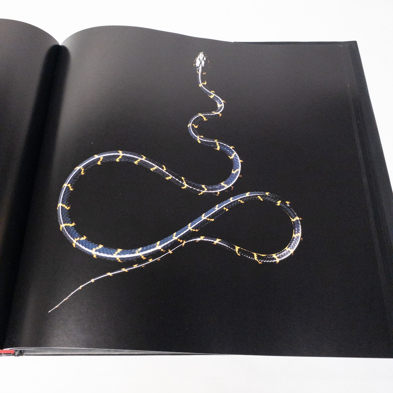 Mark Laita:"Serpentine" Signed Book