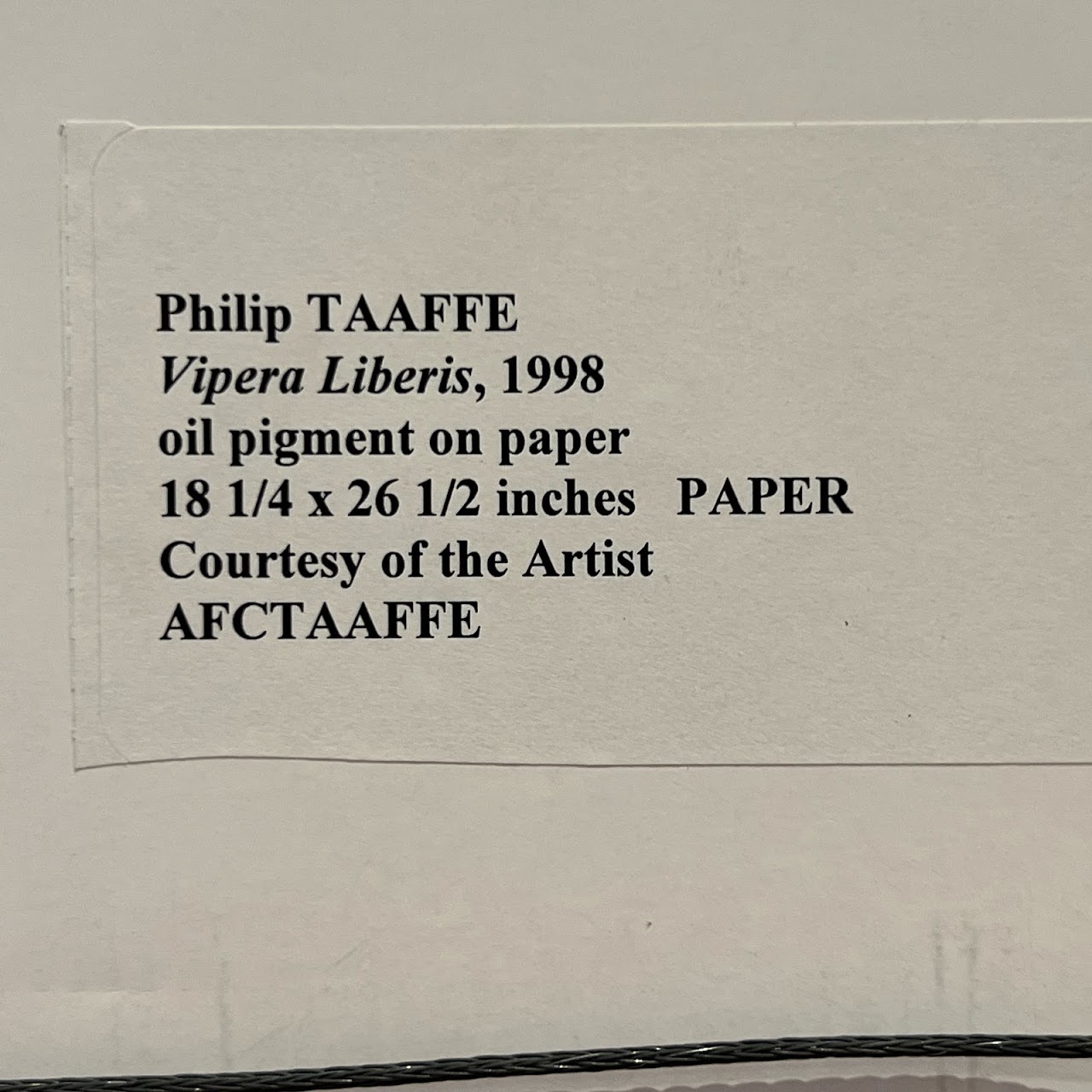 Philip Taaffe Signed 'Vipera Liberas' Monoprint
