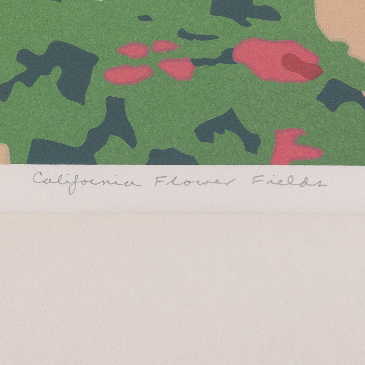 Steven R. Miller Signed 'California Flower Fields' Lithograph