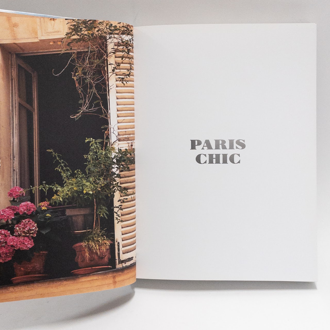 'Paris Chic' Book