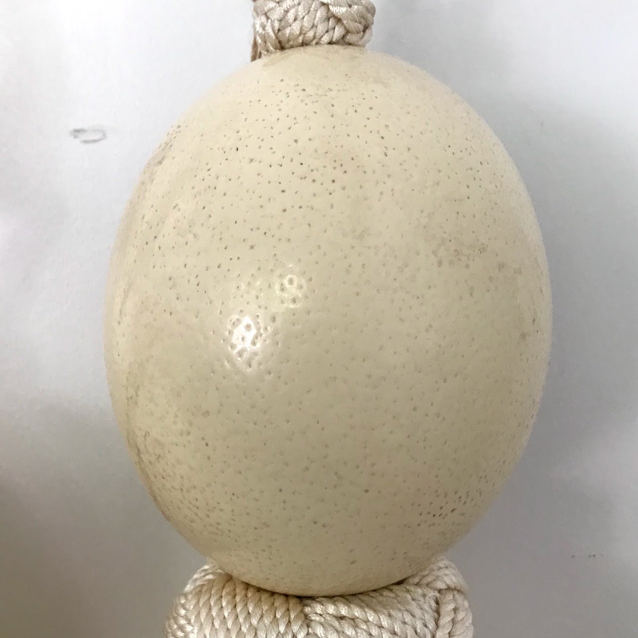 French Ostrich Egg & Silk 48” Drapery Tassel Pair