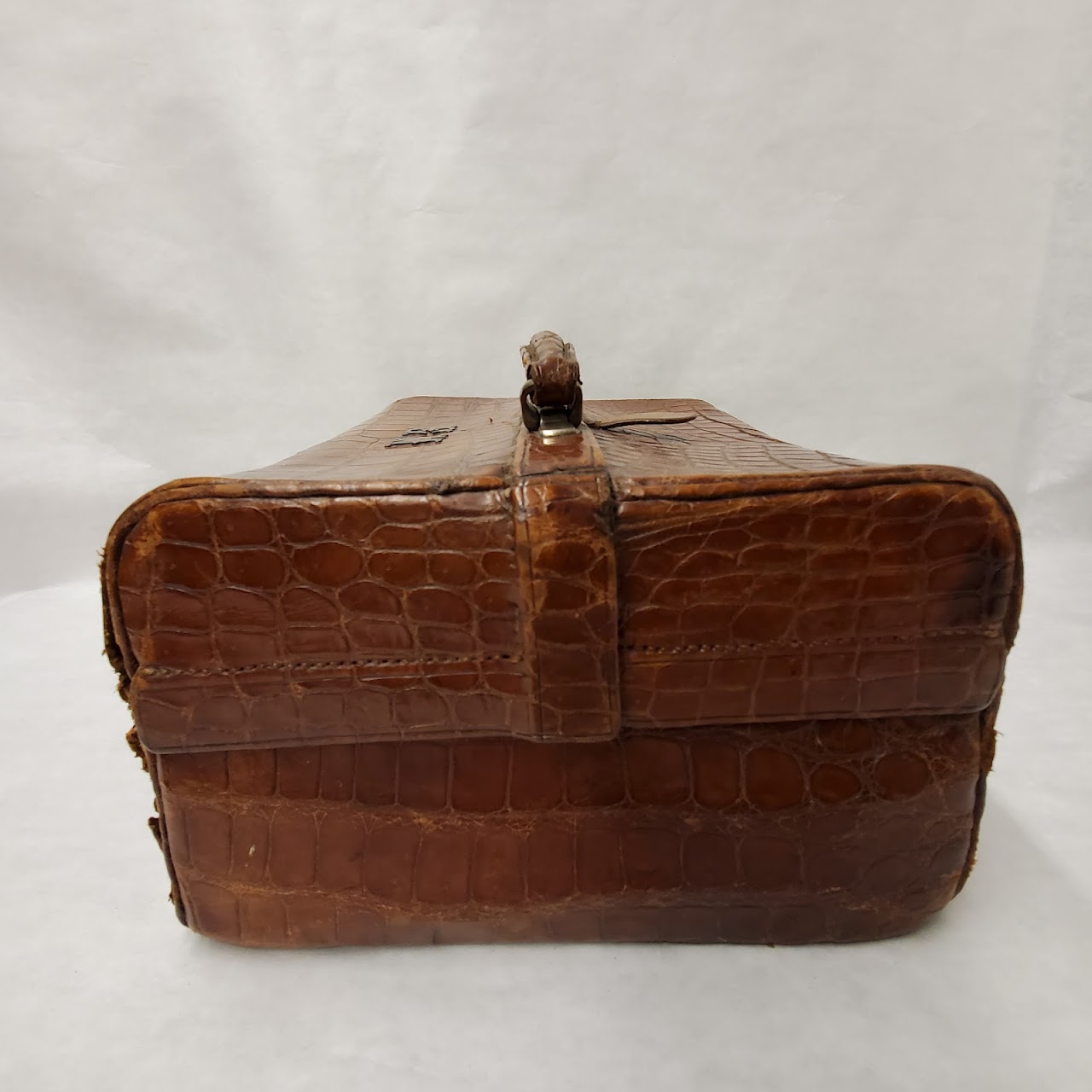 Crocodile Travel Case