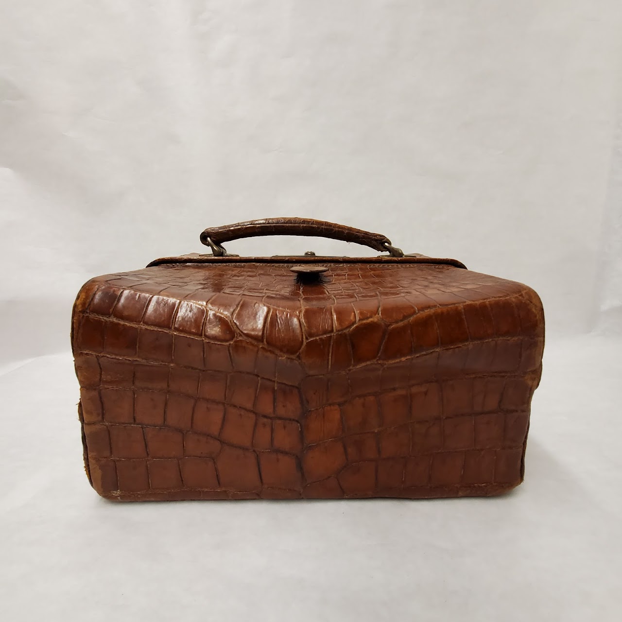 Crocodile Travel Case