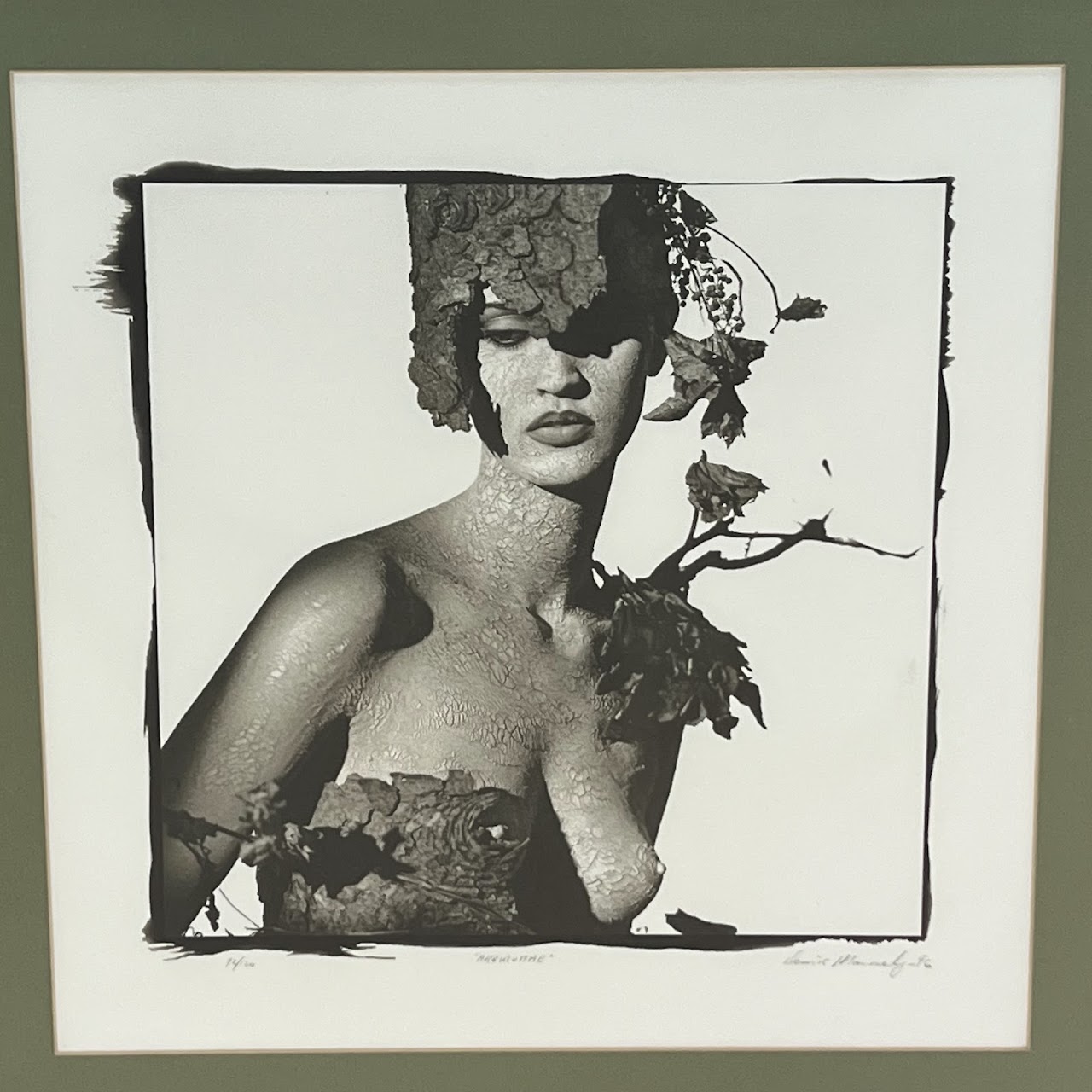 'Arborvite' Signed Surrealist Photograph, 1996