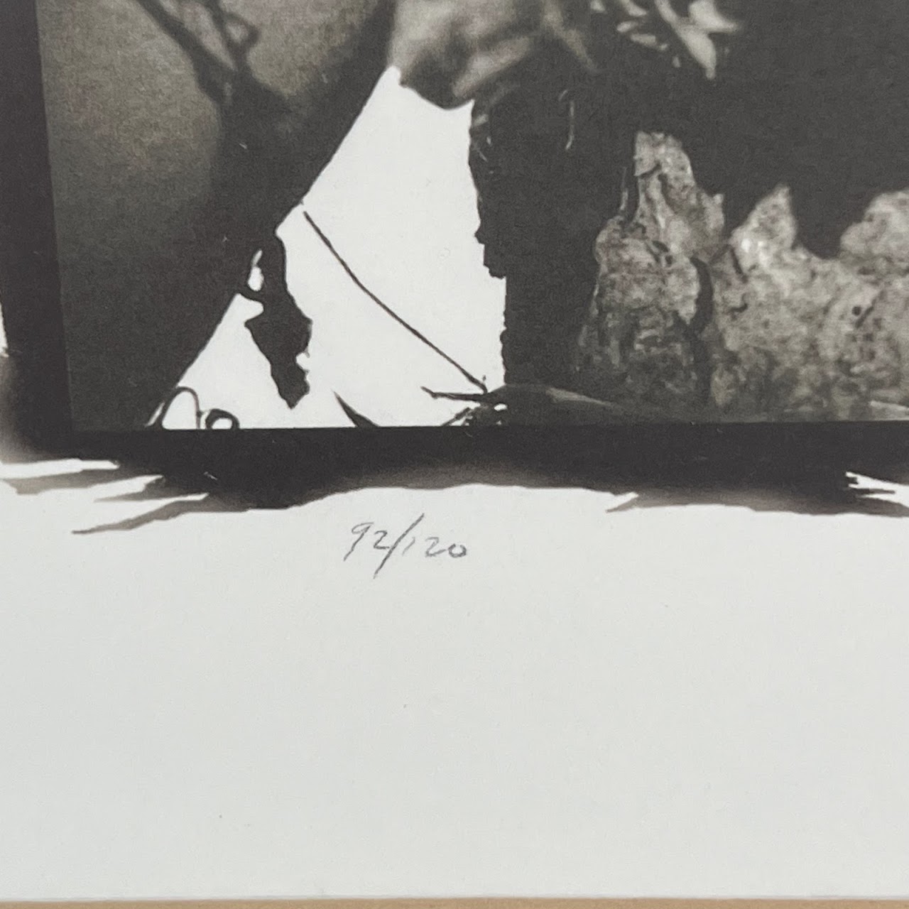 'Arborvite' Signed Surrealist Photograph, 1996