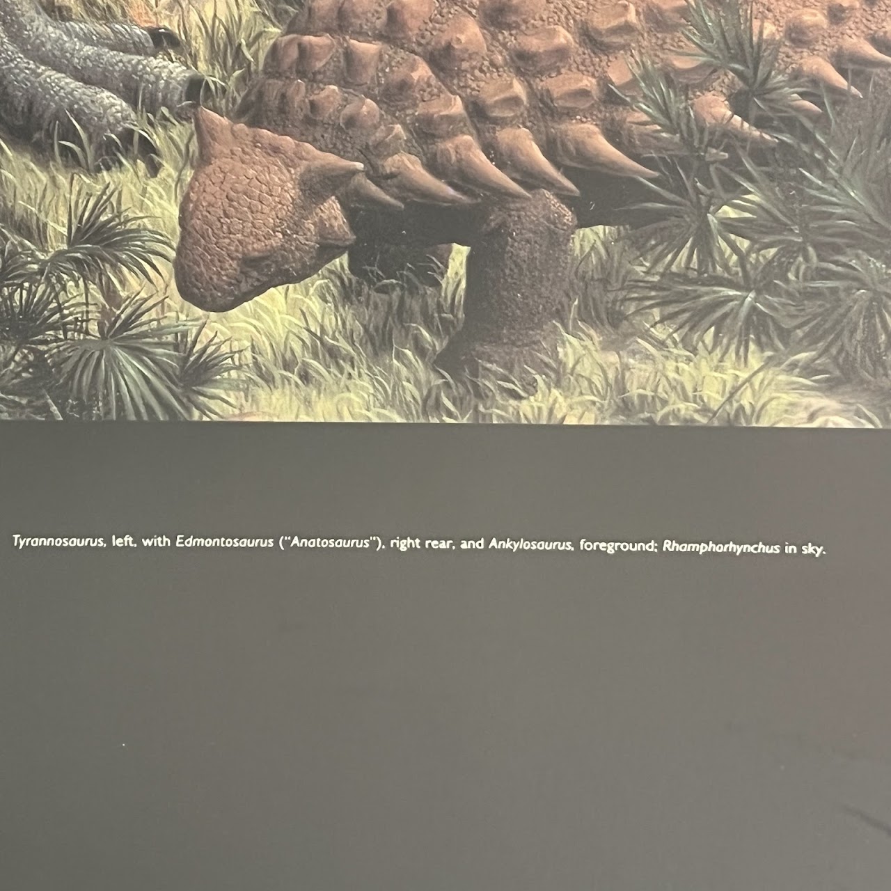 Peabody Museum of Natural History 'The Age of Reptiles' Poster