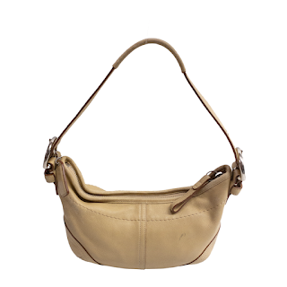 Coach Soho Mini Hobo Bag