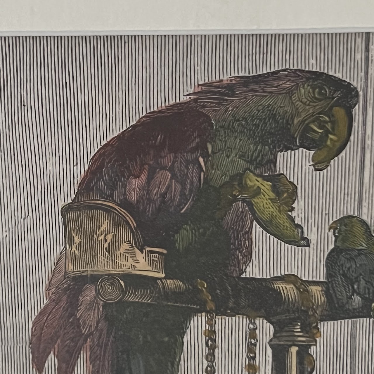 After Sir Edwin Landseer Antique Dogs and Parrots Hand-Colored Engraved Bookplate