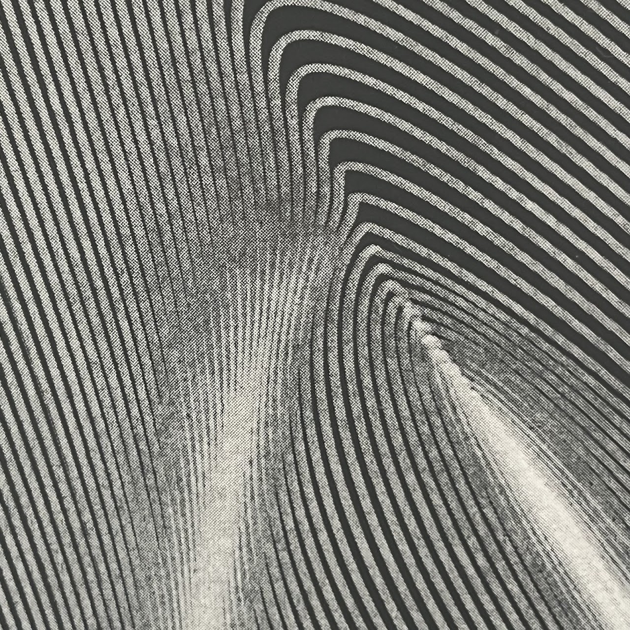 1960s Modernist Op-Art Silkscreen