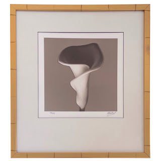 Calla Lily Signed Photograph 1