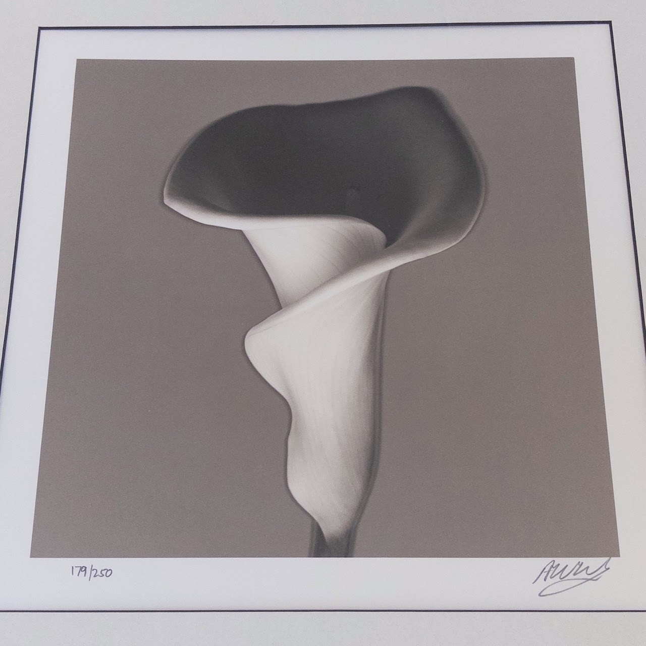 Calla Lily Signed Photograph 1