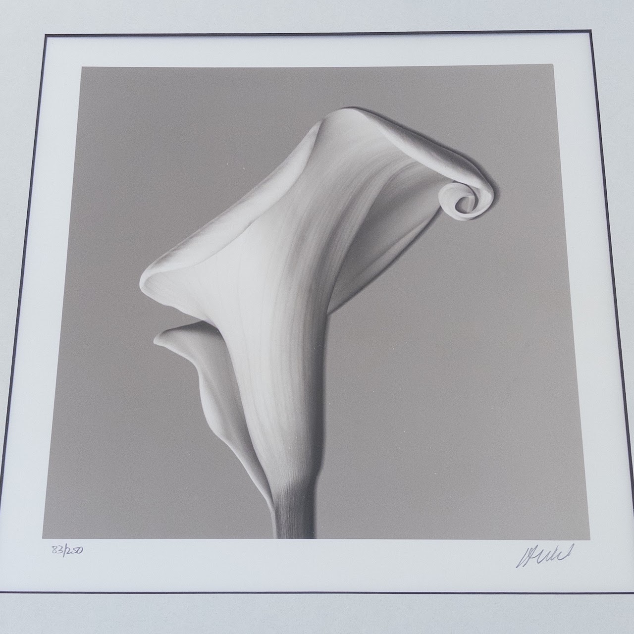 Calla Lily Signed Photograph 2