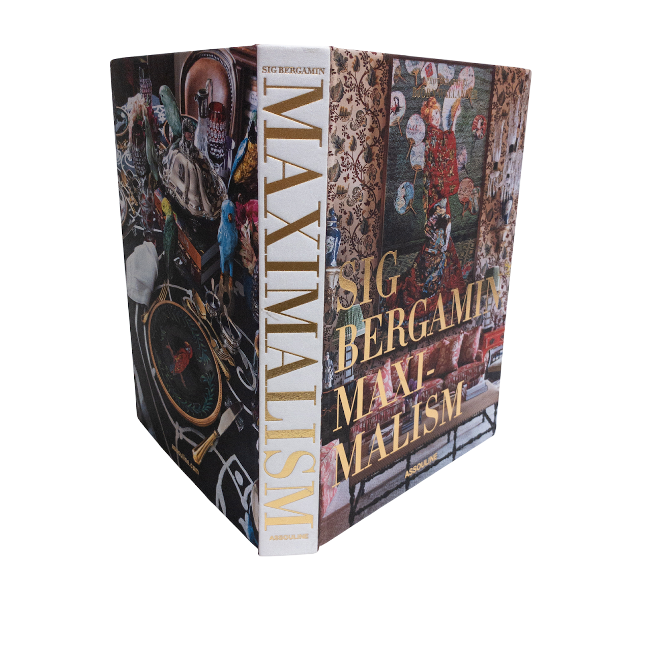 'Sig Bergamin: Maximalism' RARE Book