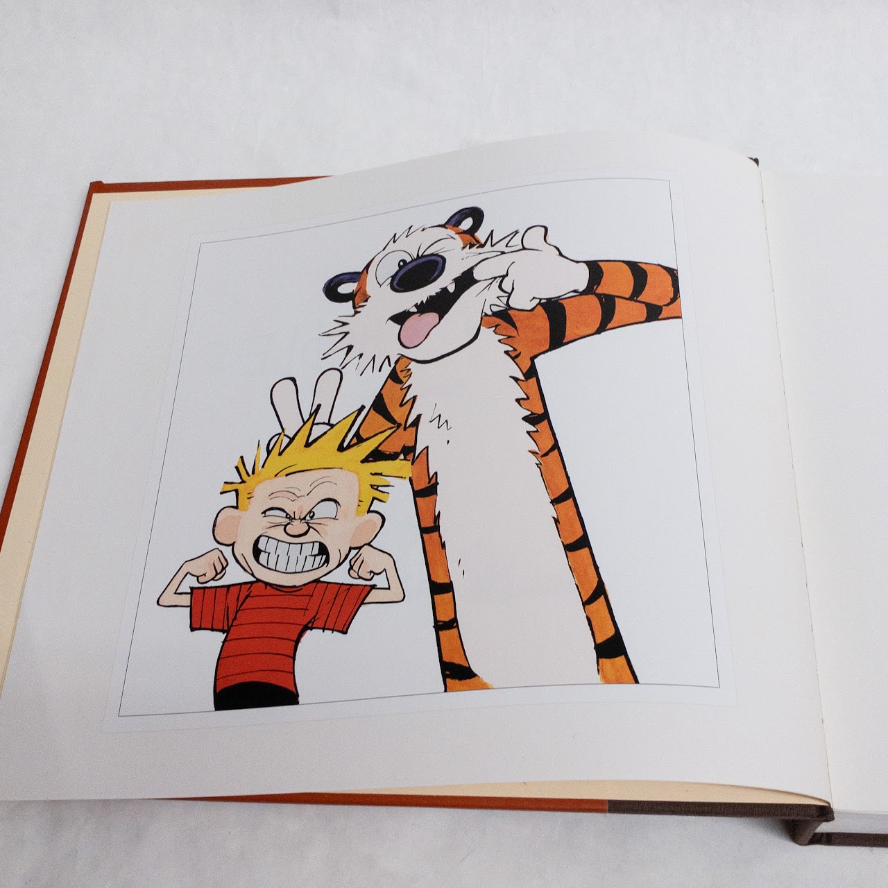 'The Complete Calvin and Hobbes' Three Volume Book Set