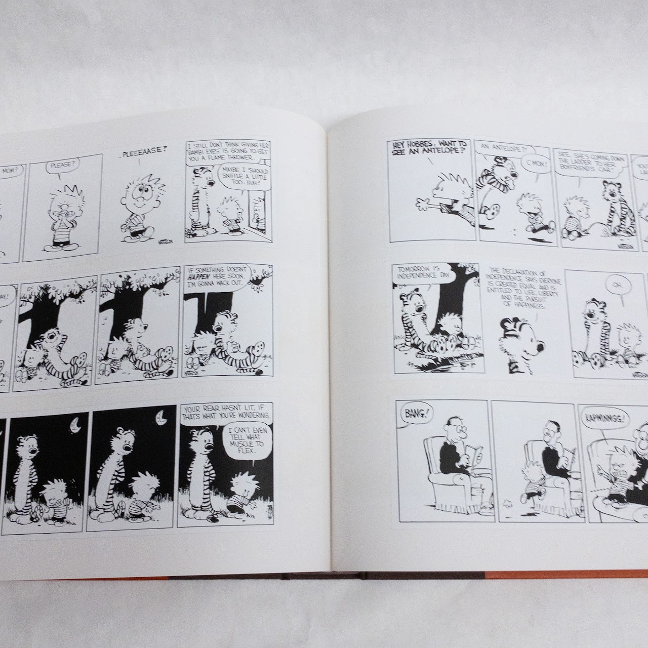 'The Complete Calvin and Hobbes' Three Volume Book Set