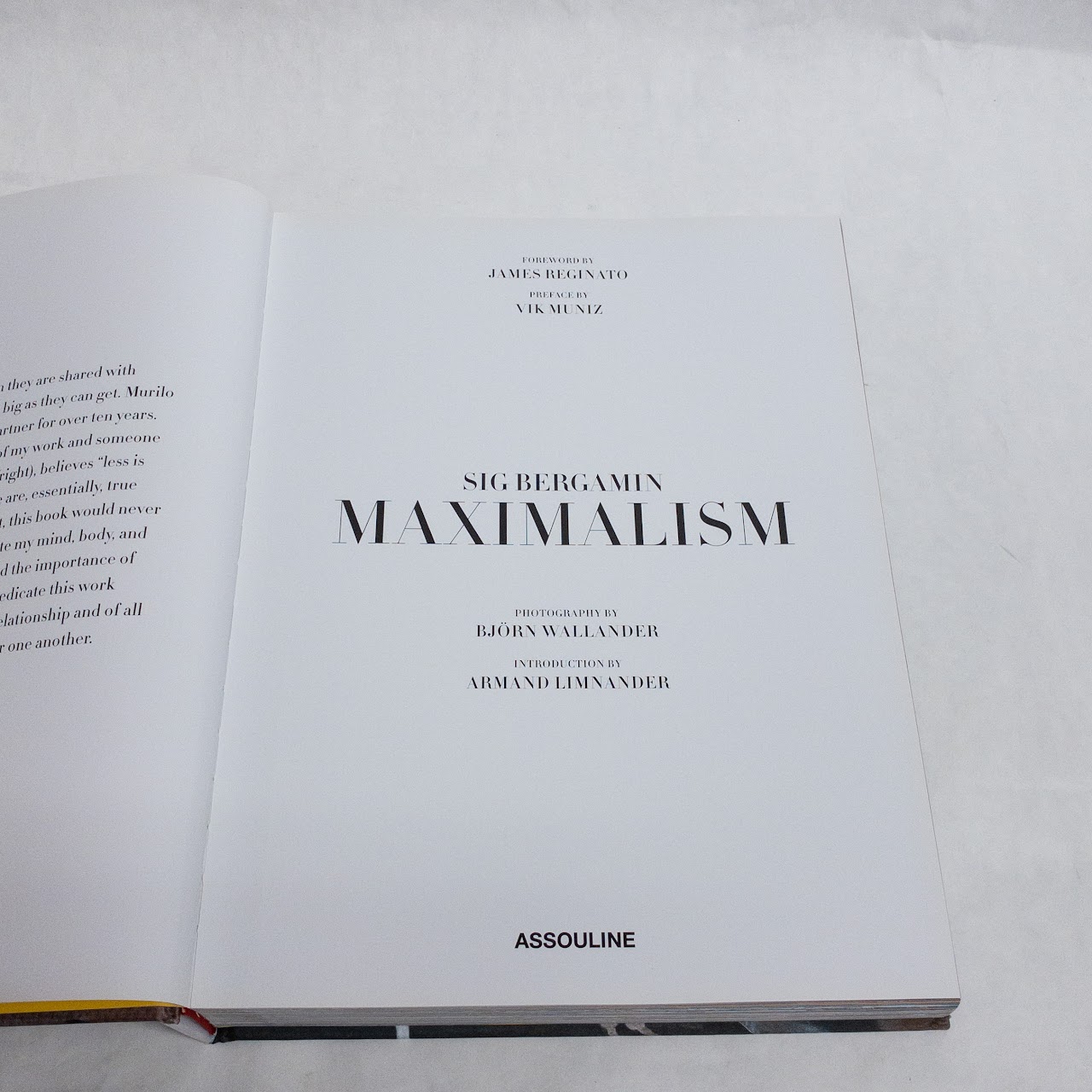 'Sig Bergamin: Maximalism' RARE Book