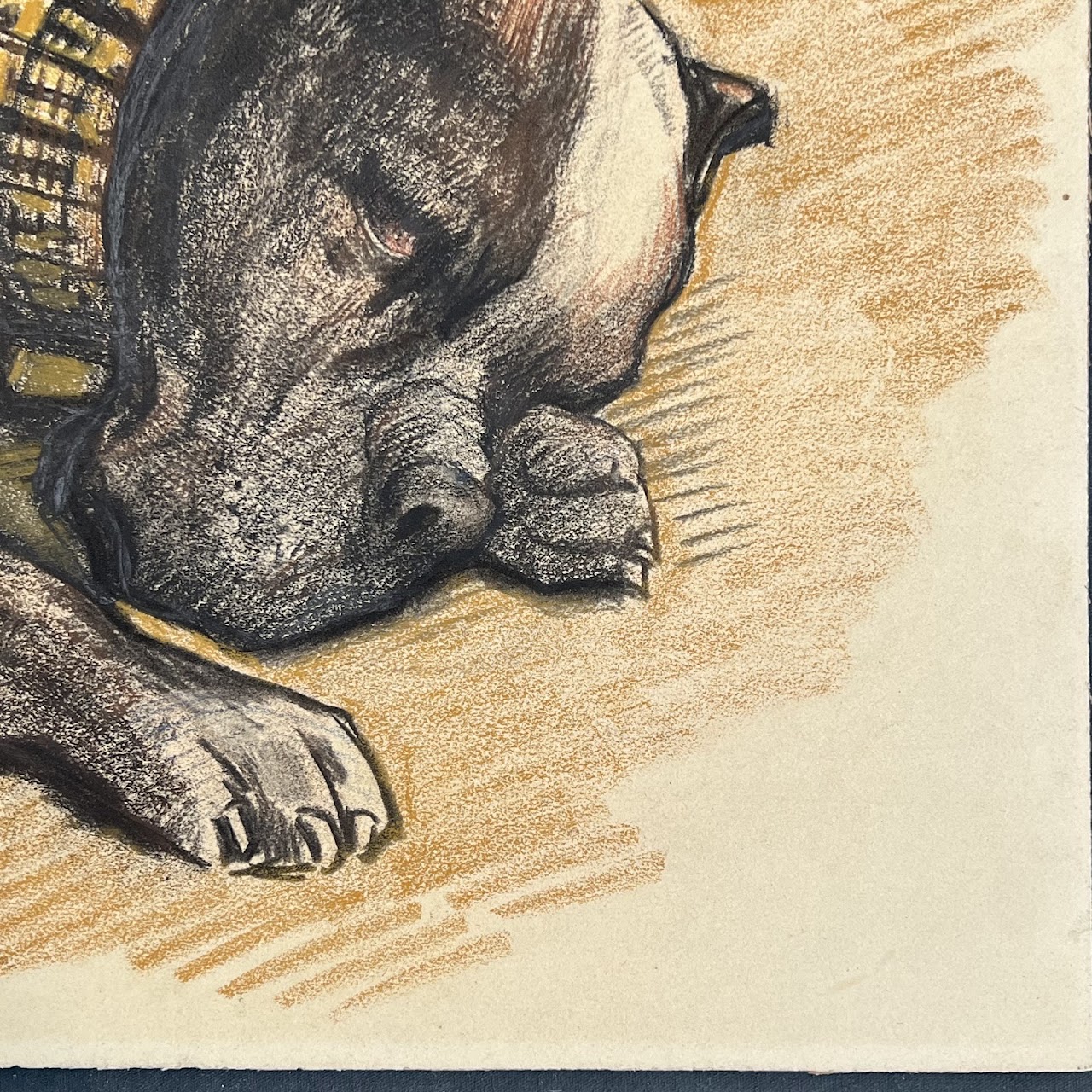 Willy Sluiter 'Uncle Pat' Signed Pastel Dog Portrait Drawing, 1927