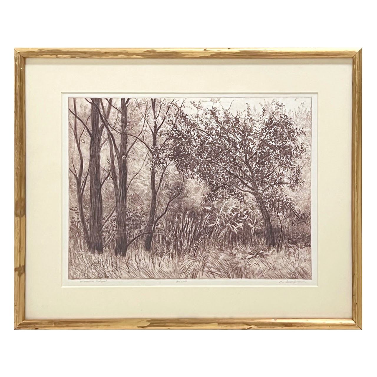 Ann Semprebon 'Wood's Edge' Signed Etching