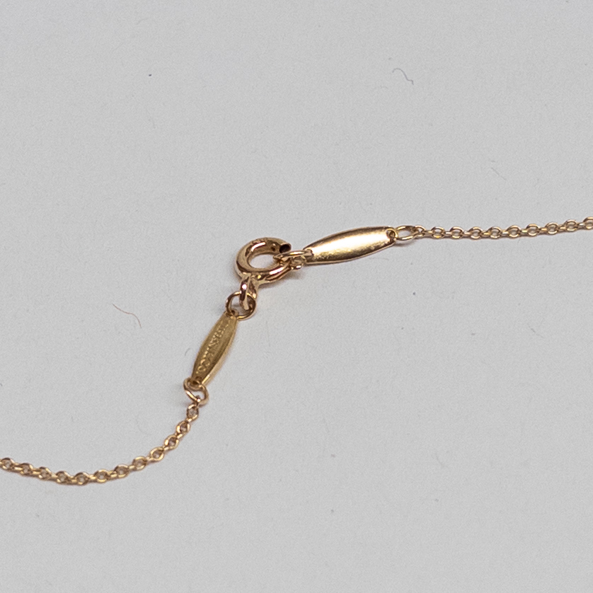 18K Gold Tiffany & Co. X Elsa Peretti Rolo Chain Necklace and Pendant