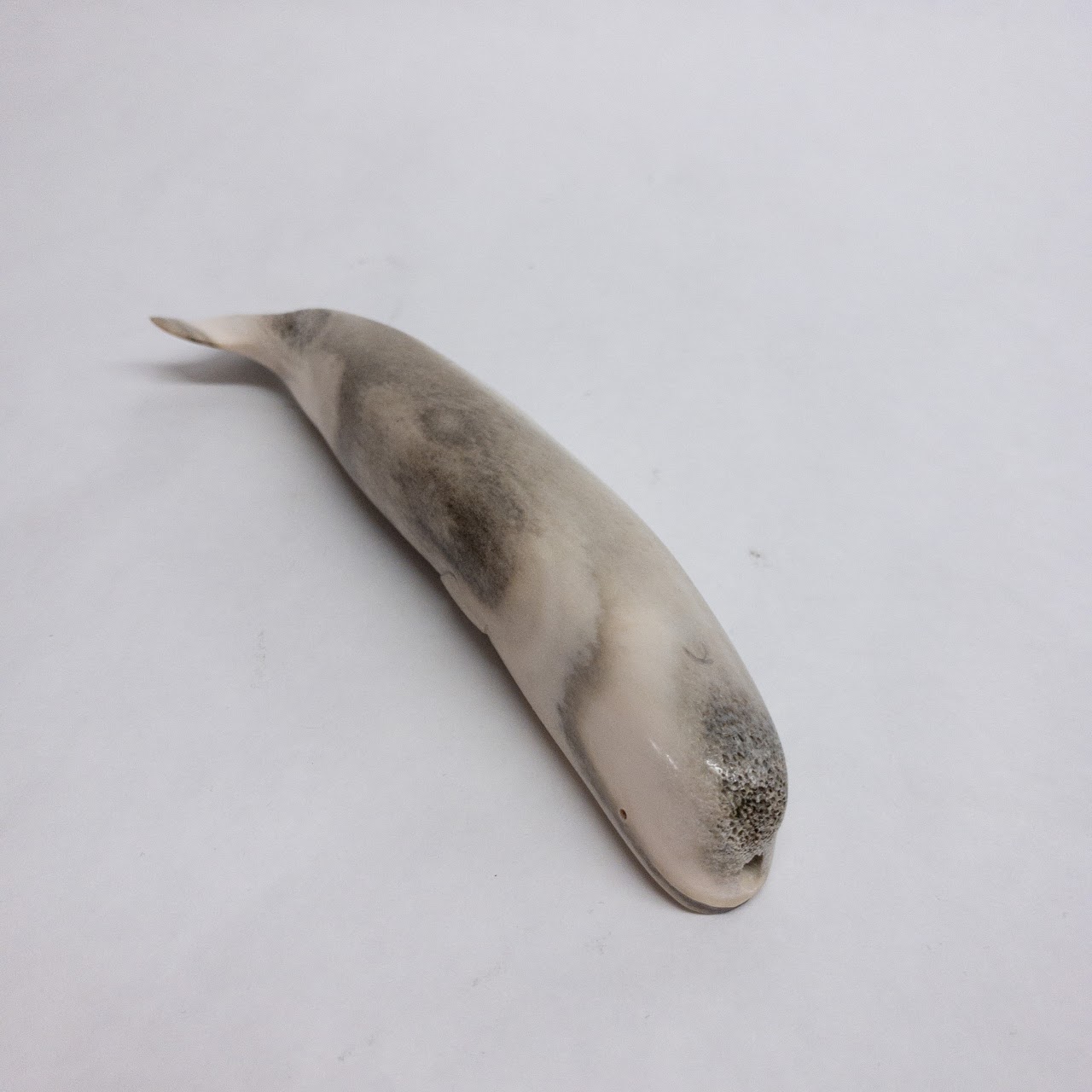 Carved Horn Dolphin