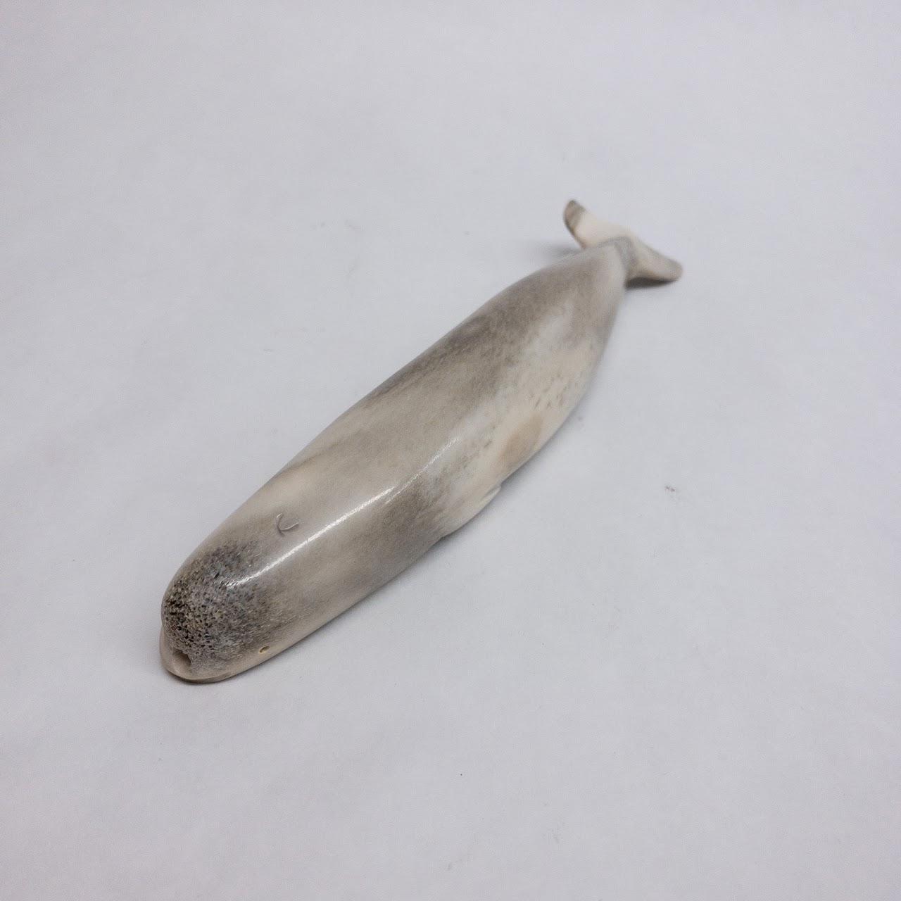 Carved Horn Dolphin