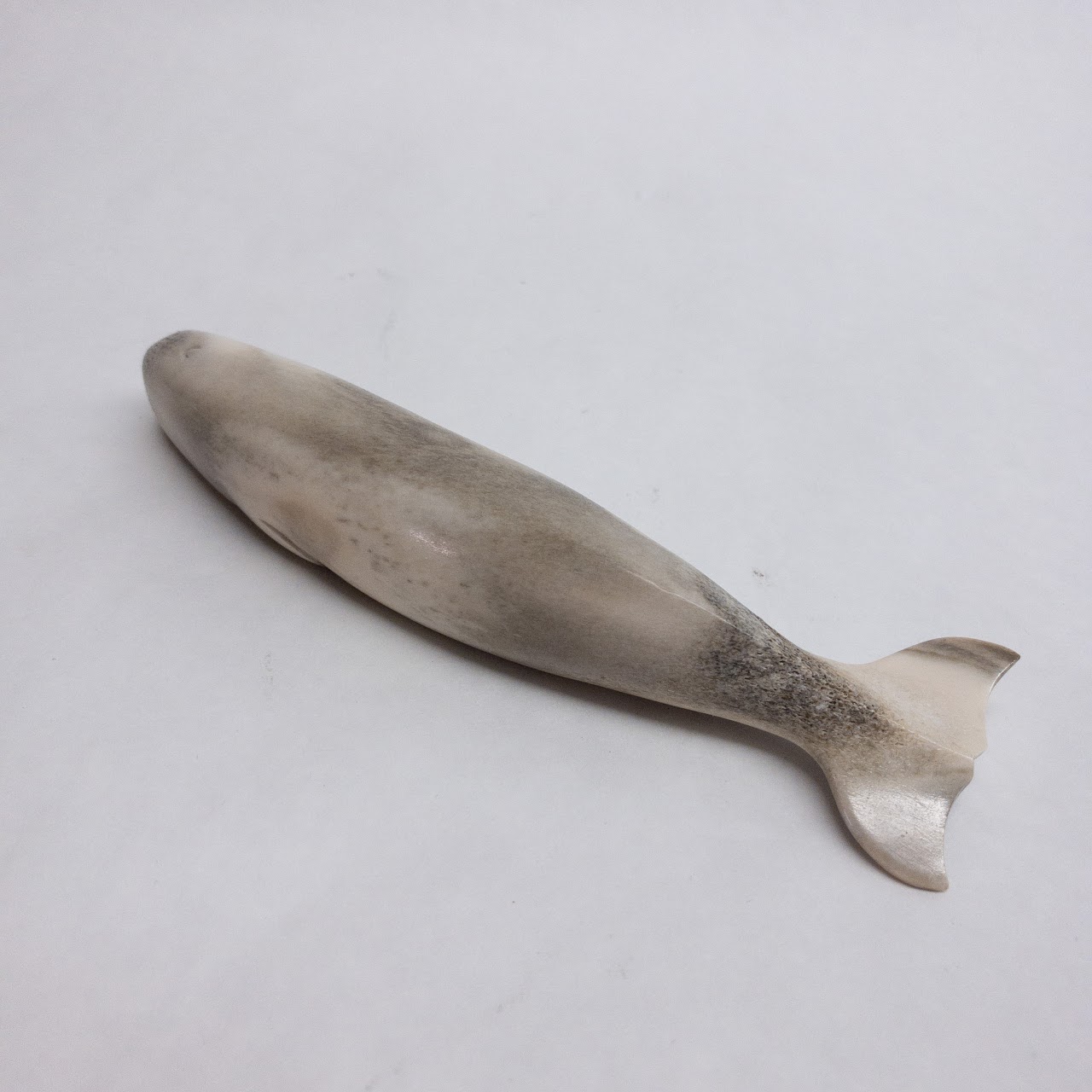 Carved Horn Dolphin