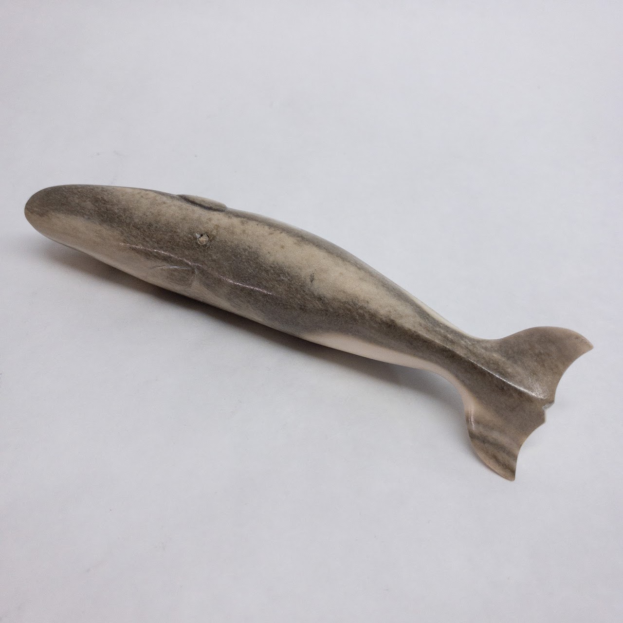 Carved Horn Dolphin