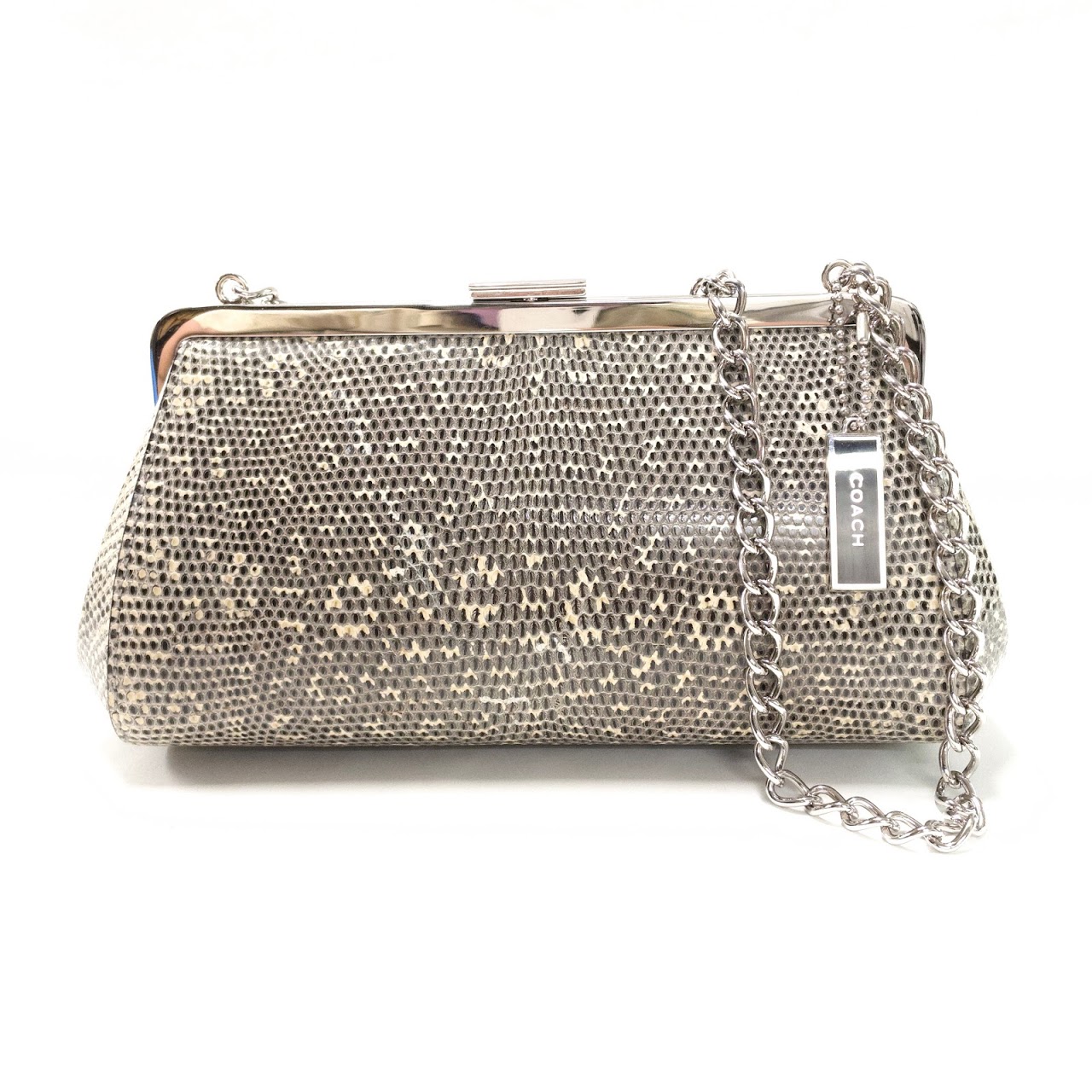 Coach Limited Edition Lizard Clutch