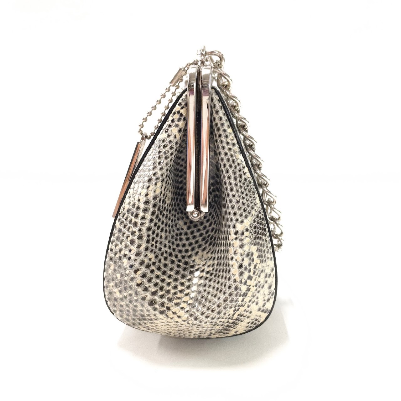 Coach Limited Edition Lizard Clutch