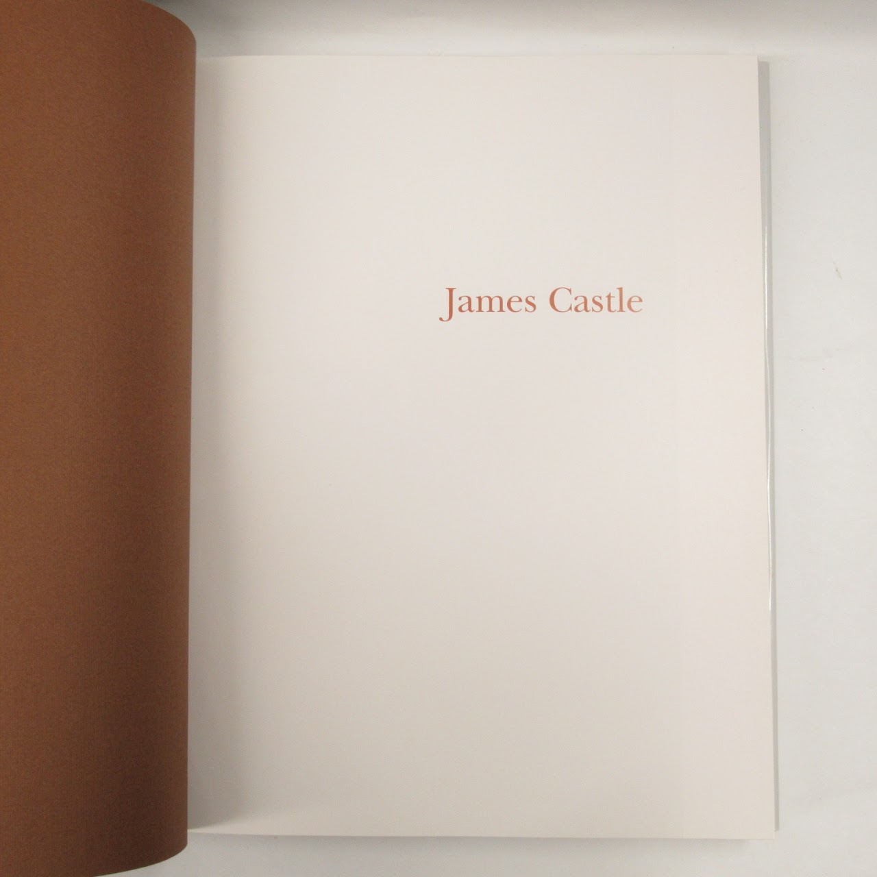 James Castle: A Retrospective