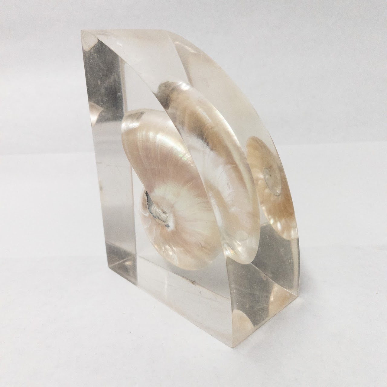 Nautilus Shell Bookends Pair