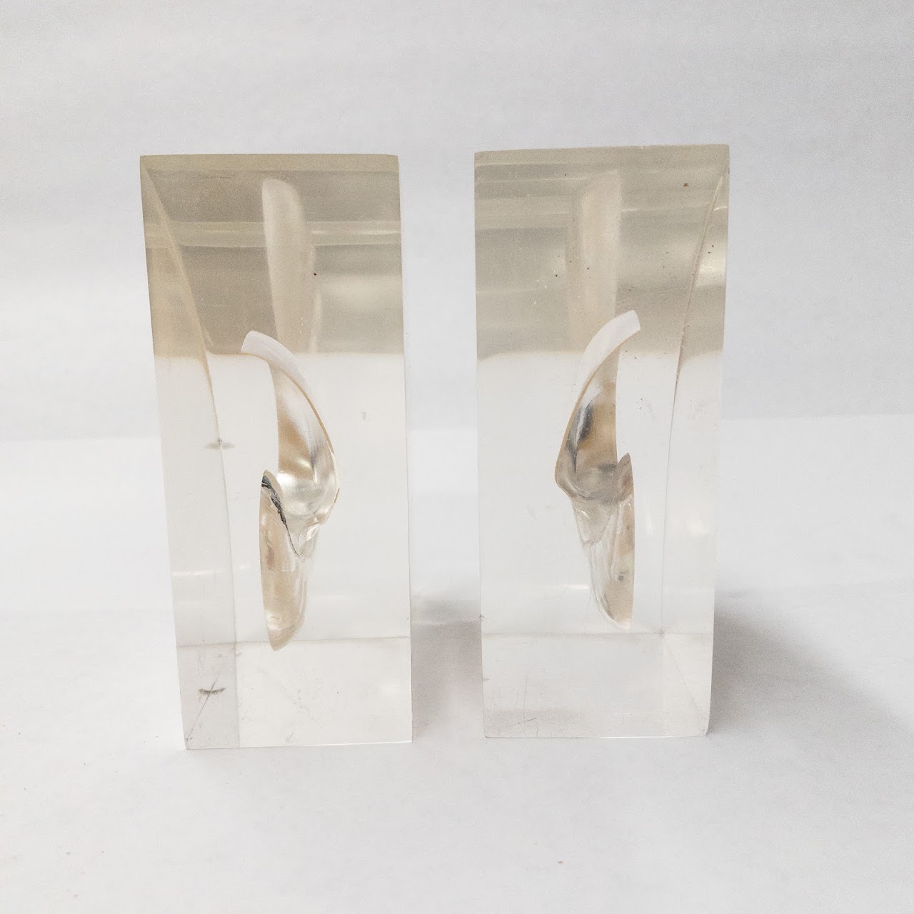 Nautilus Shell Bookends Pair