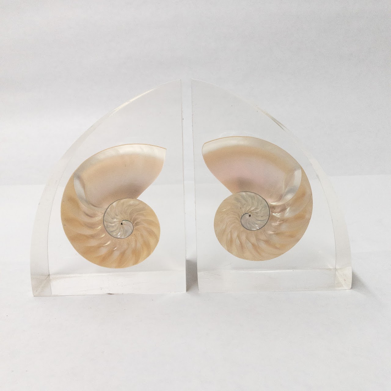 Nautilus Shell Bookends Pair