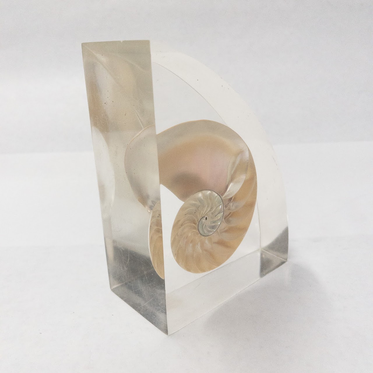 Nautilus Shell Bookends Pair