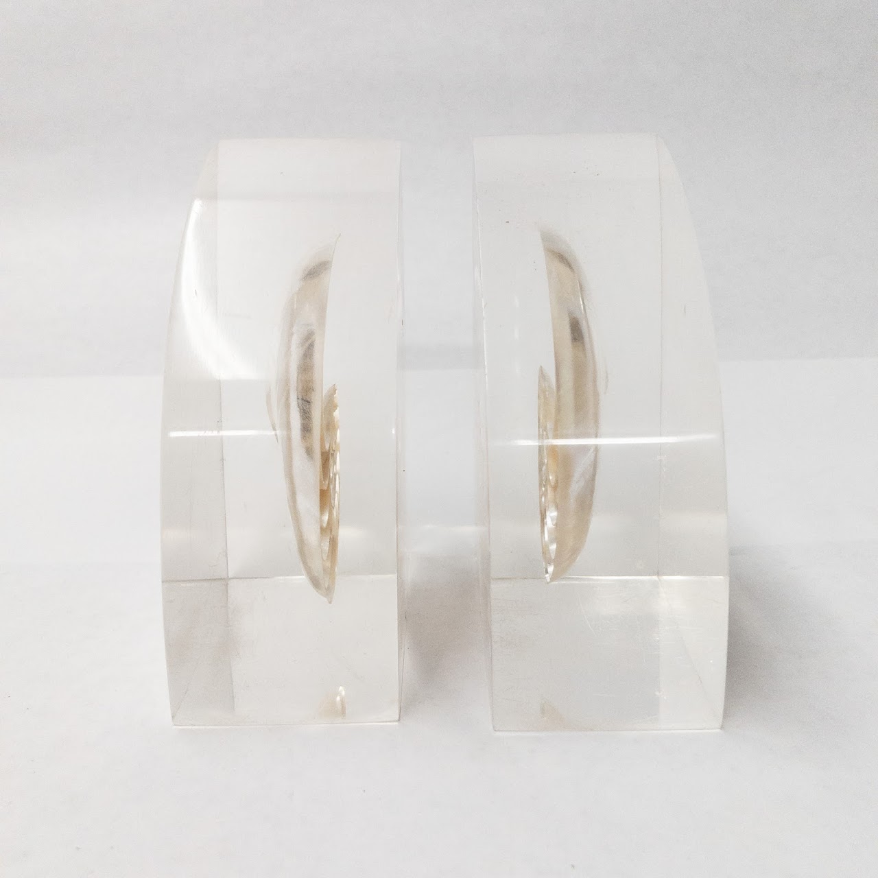 Nautilus Shell Bookends Pair