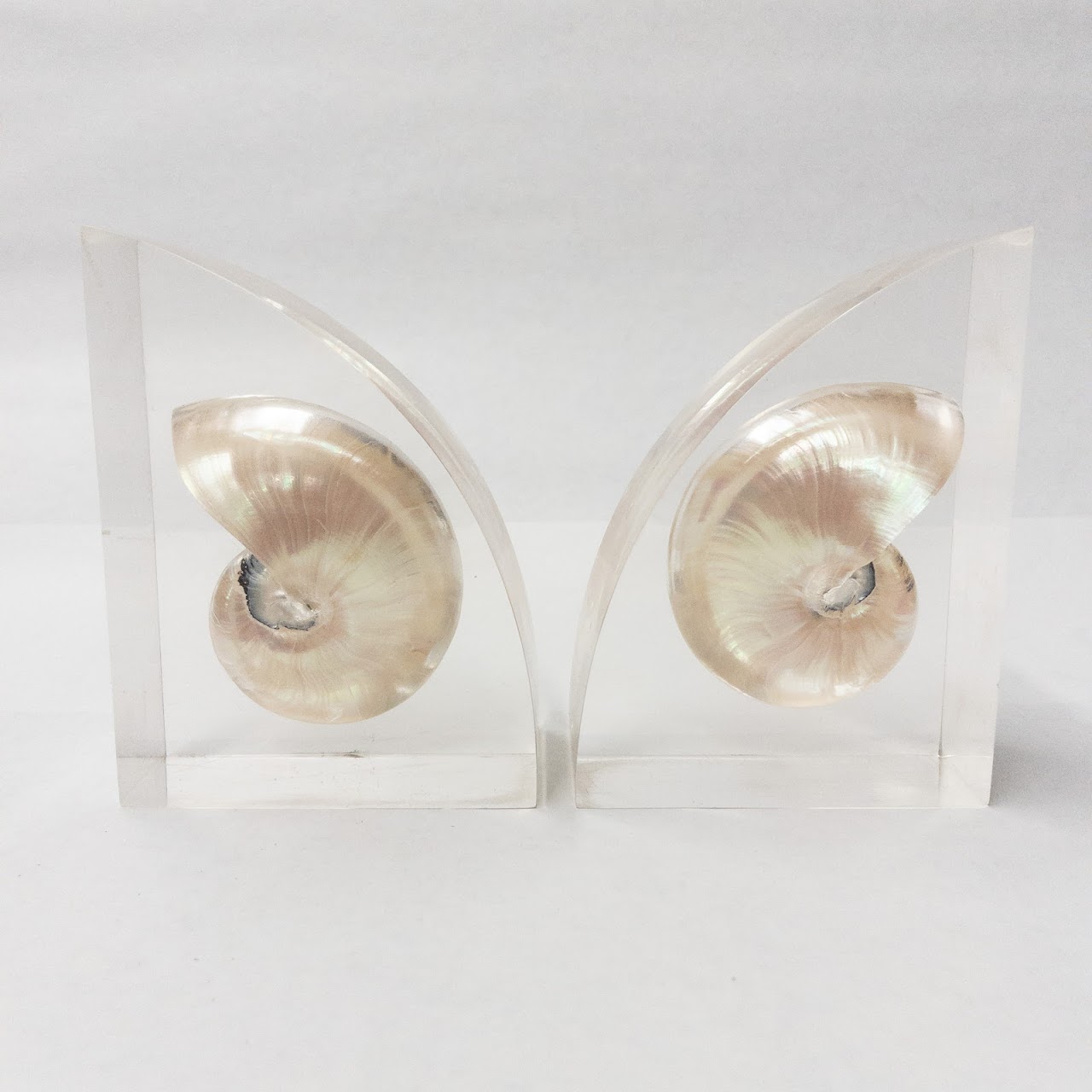 Nautilus Shell Bookends Pair