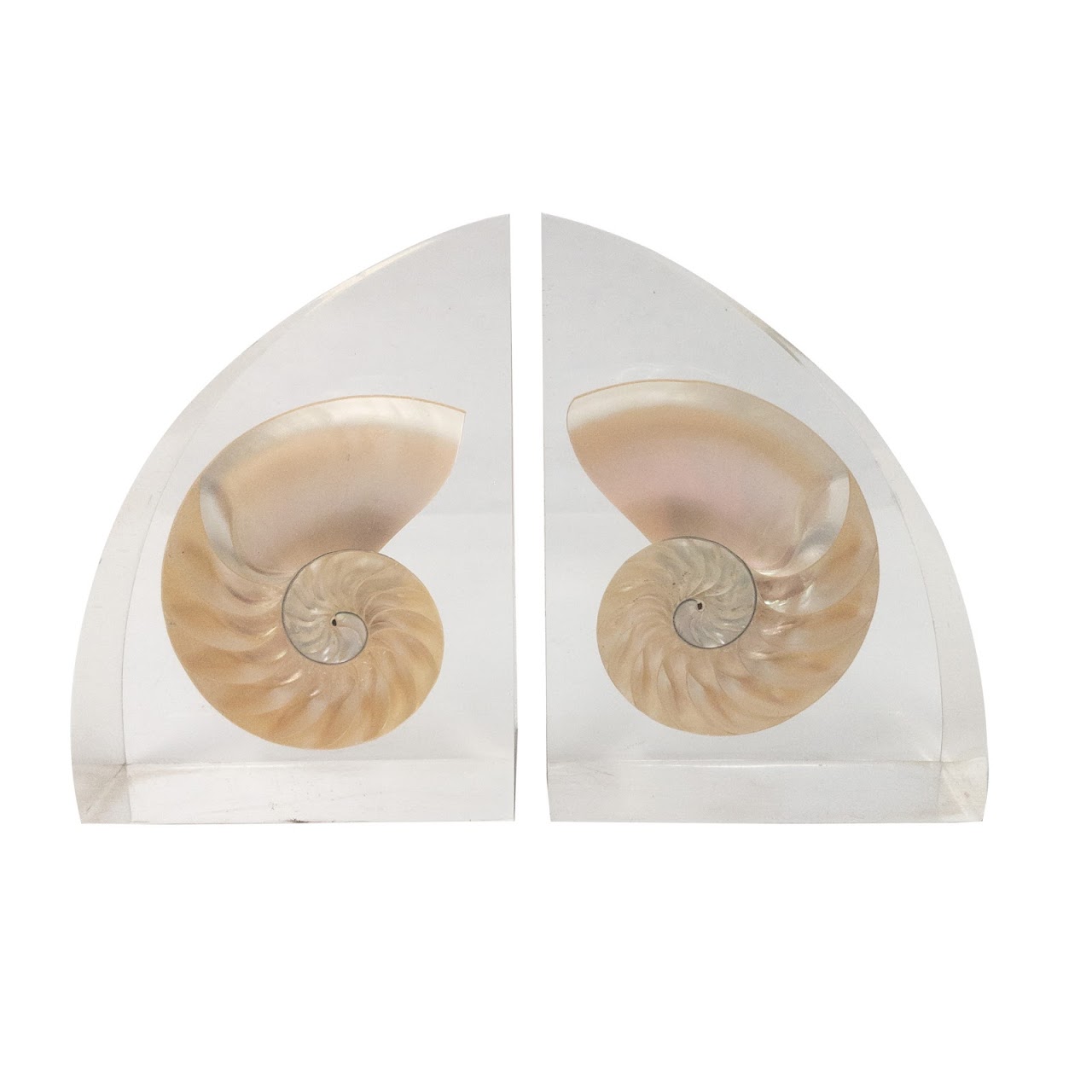 Nautilus Shell Bookends Pair