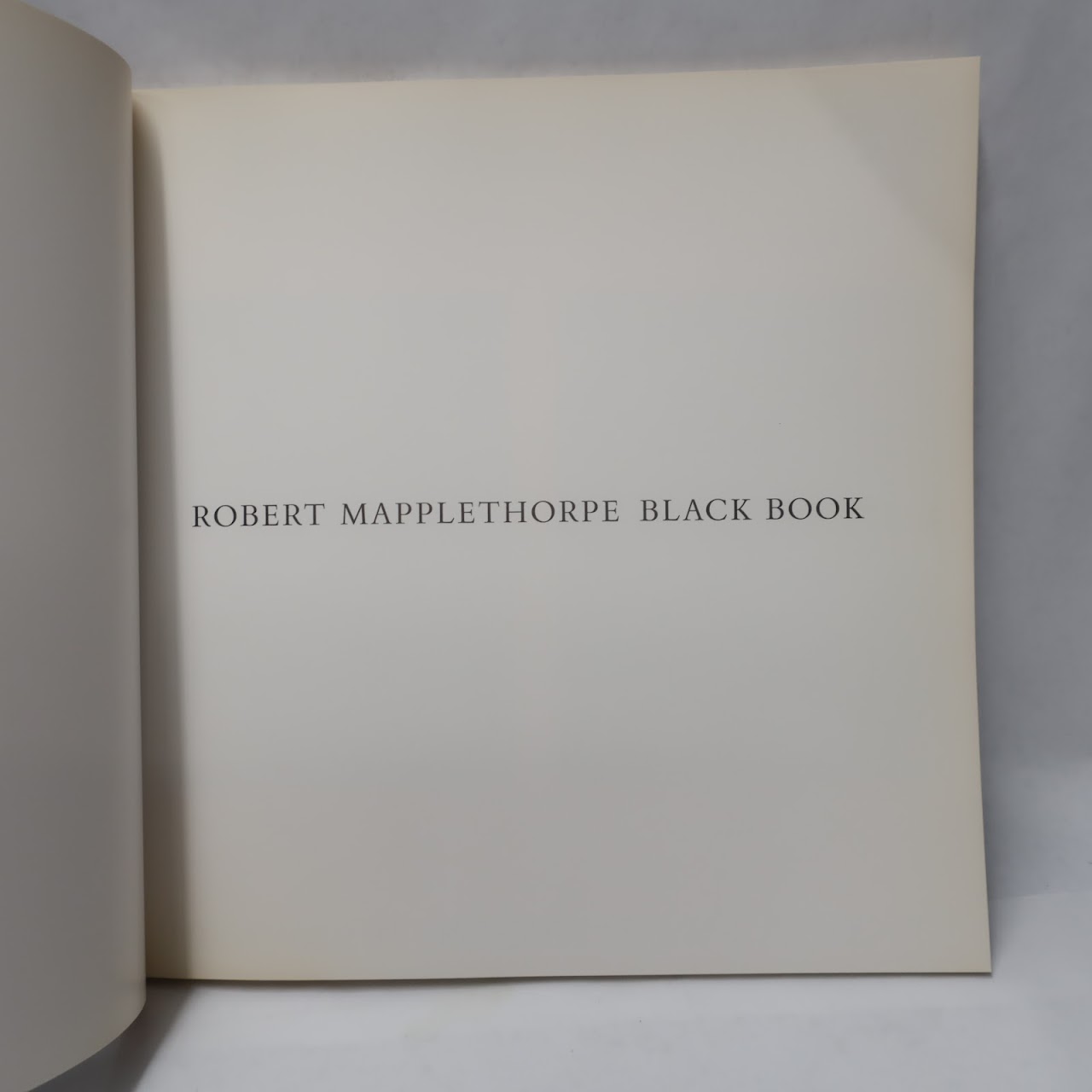 Robert Mapplethorpe: The Black Book 1st Edition