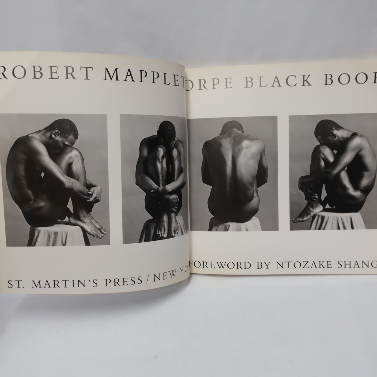 Robert Mapplethorpe: The Black Book 1st Edition