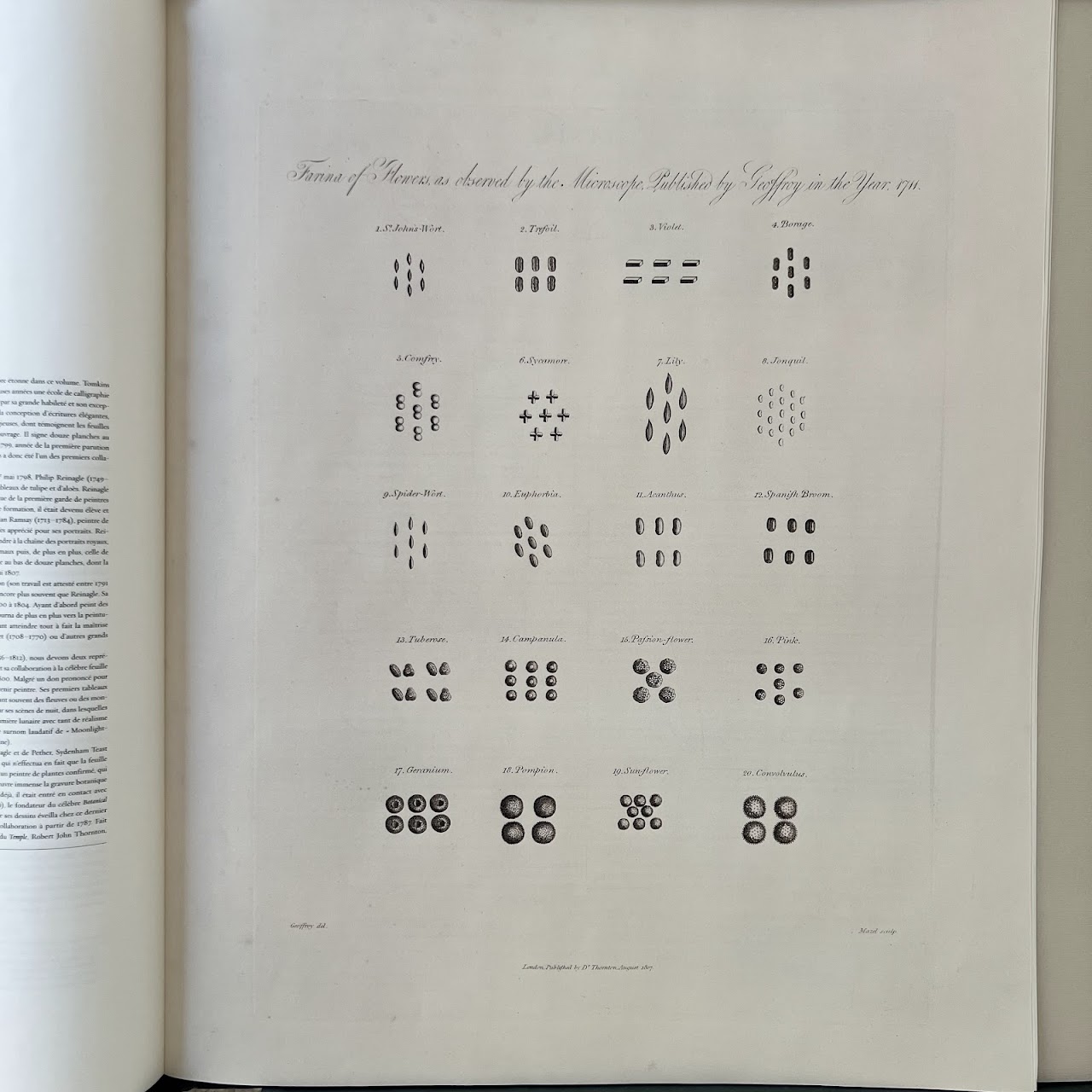 'The Temple of Flora: The Complete Plates' First Edition