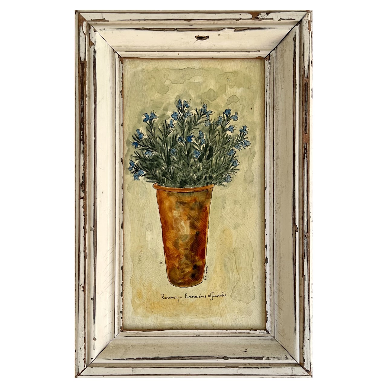 Liz Hoare 'Orange Tree' and 'Rosemary' Signed Culinary Botanicals Mixed Media Painting Pair