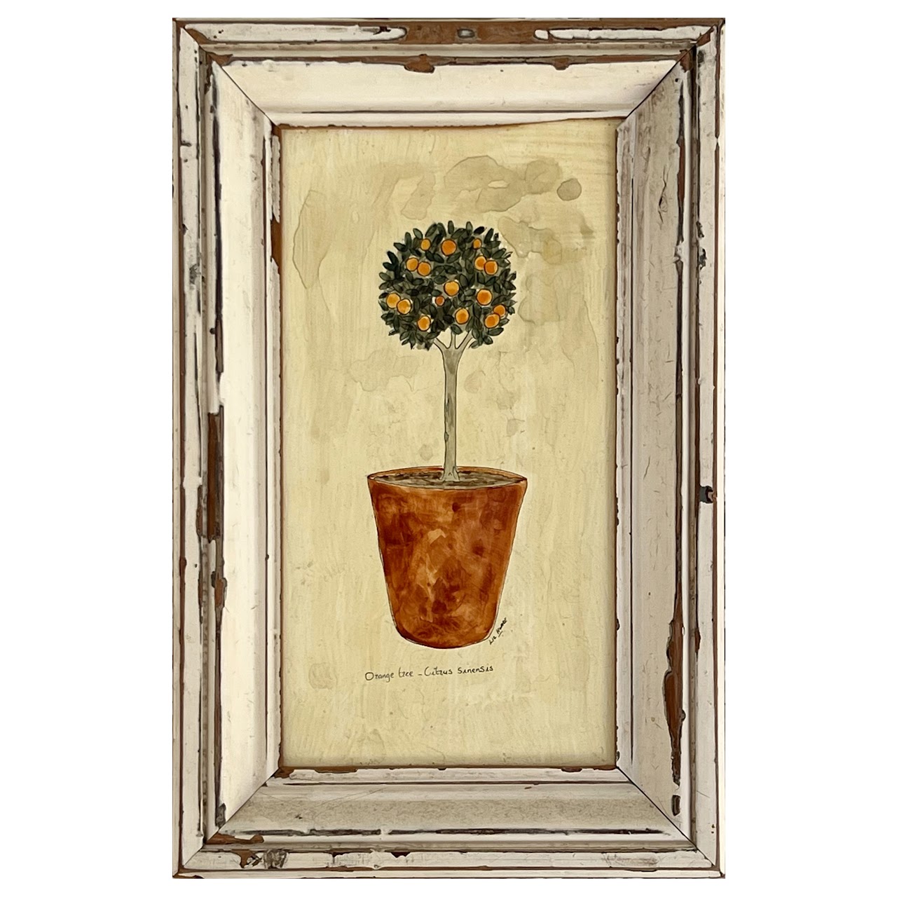 Liz Hoare 'Orange Tree' and 'Rosemary' Signed Culinary Botanicals Mixed Media Painting Pair