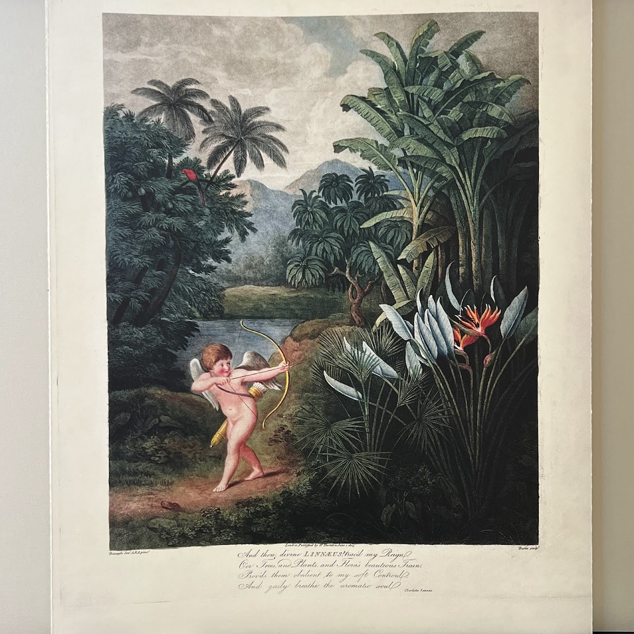 'The Temple of Flora: The Complete Plates' First Edition