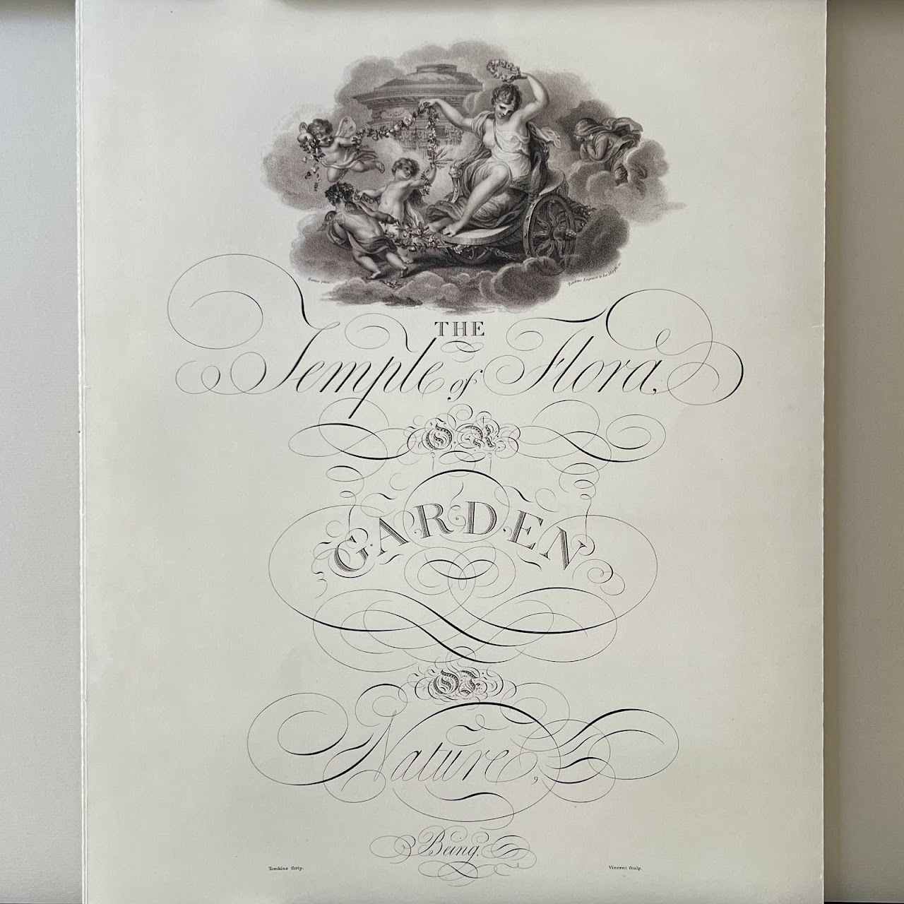 'The Temple of Flora: The Complete Plates' First Edition